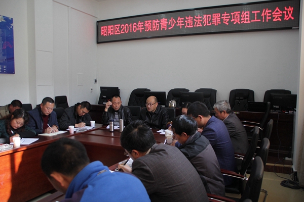 昭阳区召开2016年预防青少年违法犯罪专项组工作会议